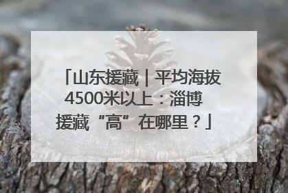 山东援藏｜平均海拔4500米以上：淄博援藏“高”在哪里？