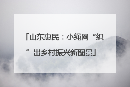 山东惠民：小绳网“织”出乡村振兴新图景