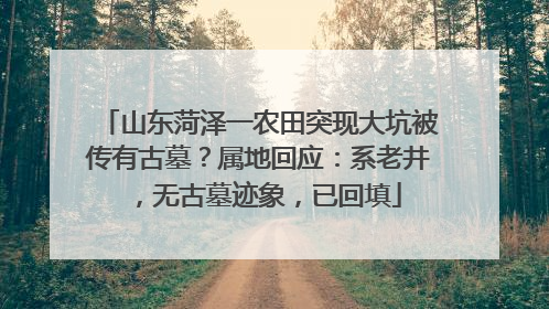 山东菏泽一农田突现大坑被传有古墓？属地回应：系老井，无古墓迹象，已回填