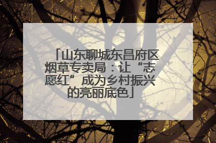 山东聊城东昌府区烟草专卖局：让“志愿红”成为乡村振兴的亮丽底色