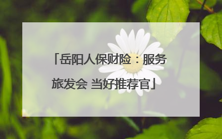 岳阳人保财险：服务旅发会 当好推荐官