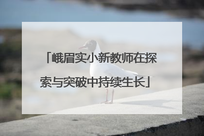 峨眉实小新教师在探索与突破中持续生长
