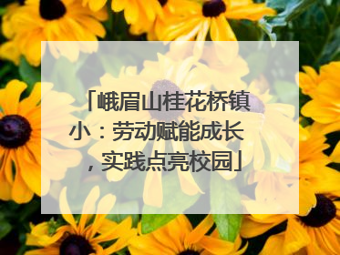 峨眉山桂花桥镇小：劳动赋能成长，实践点亮校园