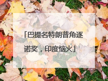 巴提名特朗普角逐诺奖，印度恼火