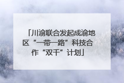 川渝联合发起成渝地区“一带一路”科技合作“双千”计划