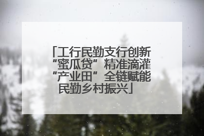 工行民勤支行创新“蜜瓜贷”精准滴灌“产业田”全链赋能民勤乡村振兴