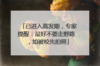 已进入高发期，专家提醒：最好不要走野路，如被咬先拍照