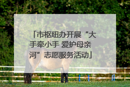 市枢纽办开展“大手牵小手 爱护母亲河”志愿服务活动