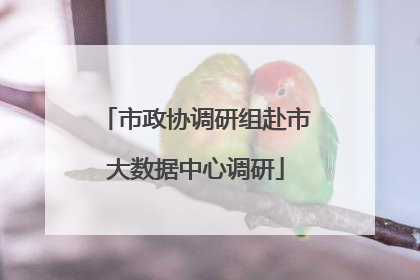 市政协调研组赴市大数据中心调研