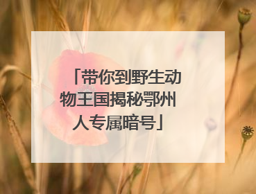 带你到野生动物王国揭秘鄂州人专属暗号