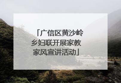 广信区黄沙岭乡妇联开展家教家风宣讲活动