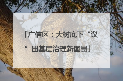 广信区：大树底下“议”出基层治理新图景