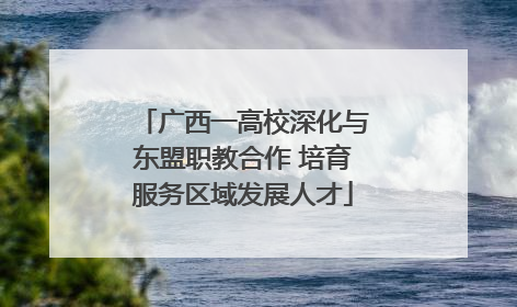 广西一高校深化与东盟职教合作 培育服务区域发展人才