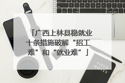 广西上林县稳就业十条措施破解“招工难”和“就业难”