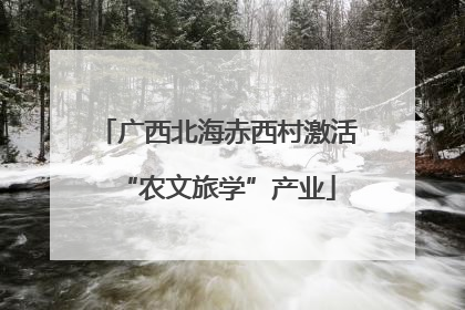 广西北海赤西村激活“农文旅学”产业