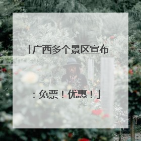 广西多个景区宣布：免票！优惠！