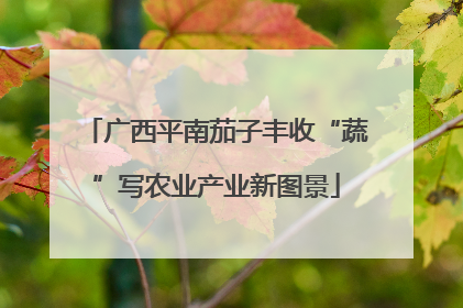 广西平南茄子丰收“蔬”写农业产业新图景
