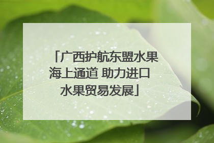 广西护航东盟水果海上通道 助力进口水果贸易发展