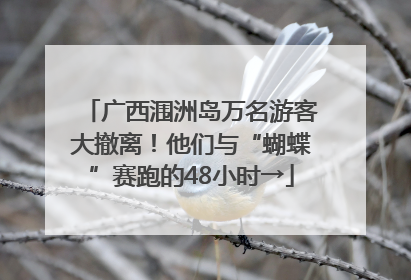 广西涠洲岛万名游客大撤离！他们与“蝴蝶”赛跑的48小时→