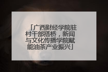 广西财经学院驻村干部搭桥，新闻与文化传播学院赋能油茶产业振兴