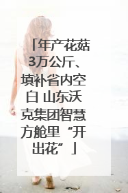 年产花菇3万公斤、填补省内空白 山东沃克集团智慧方舱里“开出花”