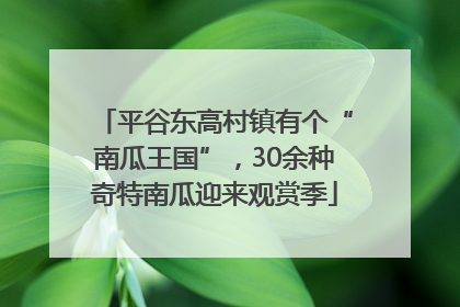 平谷东高村镇有个“南瓜王国”，30余种奇特南瓜迎来观赏季