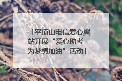 平顶山电信爱心翼站开展“爱心助考 为梦想加油”活动
