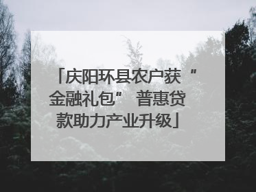 庆阳环县农户获“金融礼包” 普惠贷款助力产业升级