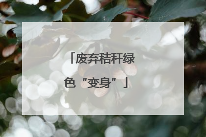 废弃秸秆绿色“变身”