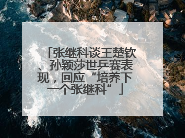 张继科谈王楚钦、孙颖莎世乒赛表现，回应“培养下一个张继科”