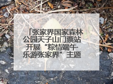 张家界国家森林公园天子山门票站开展“粽情端午·乐游张家界”主题宠客活动