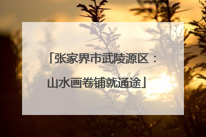 张家界市武陵源区：山水画卷铺就通途