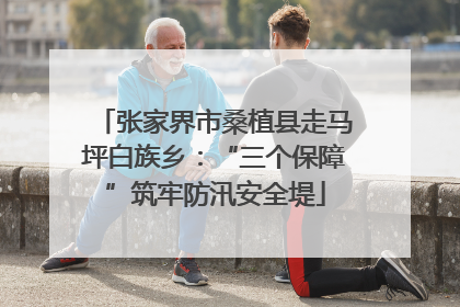 张家界市桑植县走马坪白族乡：“三个保障”筑牢防汛安全堤