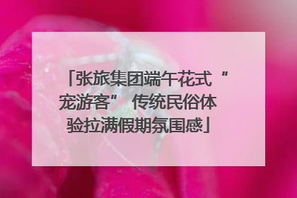 张旅集团端午花式“宠游客” 传统民俗体验拉满假期氛围感