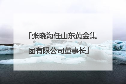 张晓海任山东黄金集团有限公司董事长