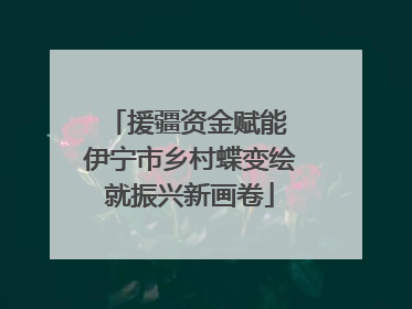 援疆资金赋能 伊宁市乡村蝶变绘就振兴新画卷