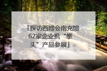 探访西博会南充馆 62家企业携“拳头”产品参展