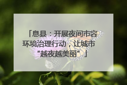 息县：开展夜间市容环境治理行动，让城市 “越夜越美丽”