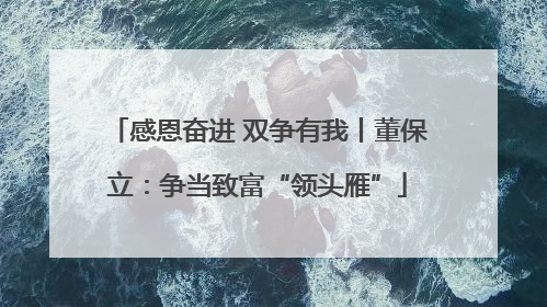 感恩奋进 双争有我丨董保立：争当致富“领头雁”