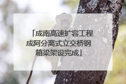 成南高速扩容工程成阿分离式立交桥钢箱梁架设完成