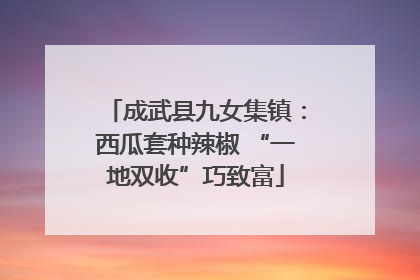 成武县九女集镇：西瓜套种辣椒 “一地双收”巧致富