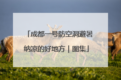 成都一号防空洞避暑纳凉的好地方｜图集