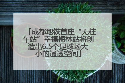 成都地铁首座“无柱车站”幸福梅林站将创造出6.5个足球场大小的通透空间