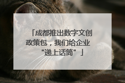 成都推出数字文创政策包，我们给企业“递上话筒”
