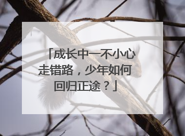 成长中一不小心走错路，少年如何回归正途？