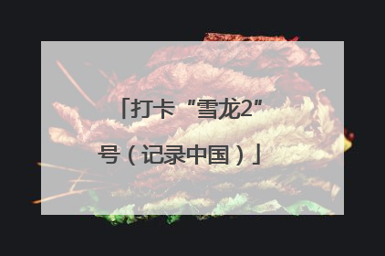 打卡“雪龙2”号（记录中国）