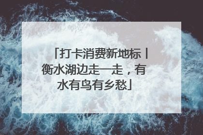 打卡消费新地标丨衡水湖边走一走，有水有鸟有乡愁