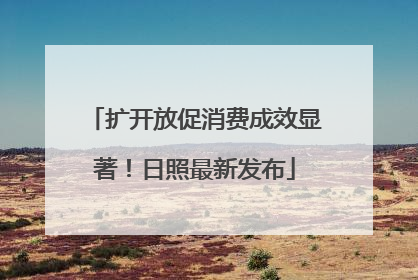 扩开放促消费成效显著！日照最新发布