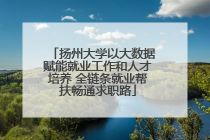 扬州大学以大数据赋能就业工作和人才培养 全链条就业帮扶畅通求职路
