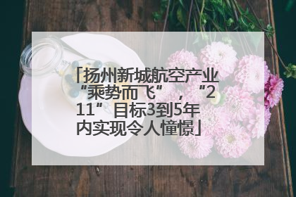 扬州新城航空产业“乘势而飞”，“211”目标3到5年内实现令人憧憬